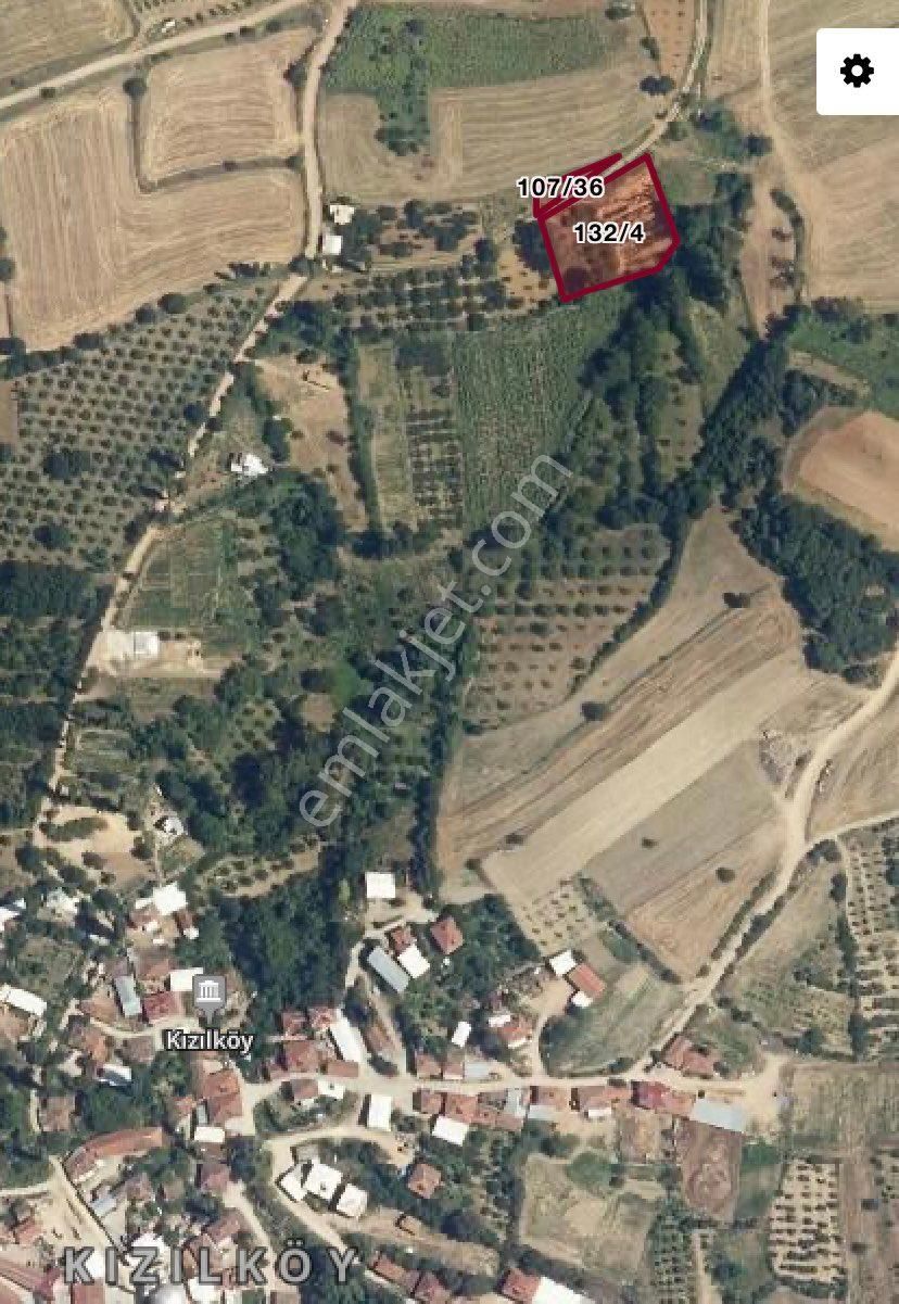 Ais’den Yenişehir Kızılköyden 2 Tane 2 Tapulu Müstakil Tarla Yolu Suyu Var!!!