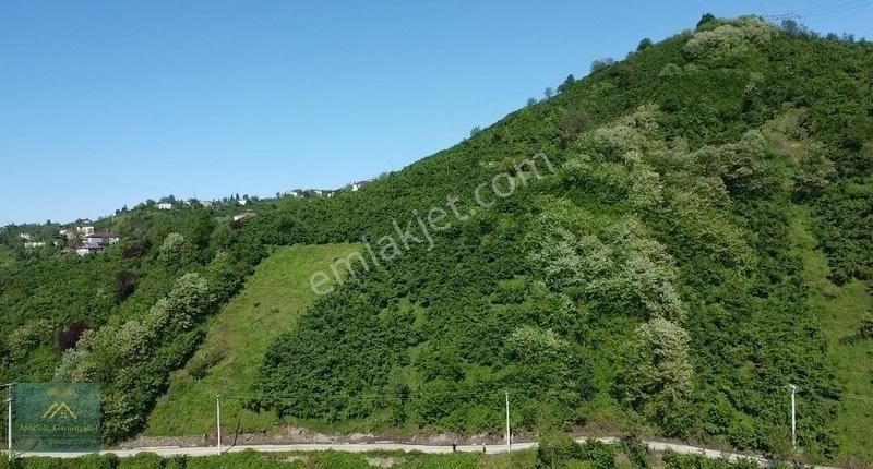 Anadolu Gayrimenkul'den Yıldızlı Mahallesi'nde Satılık 1,5 Dönüm