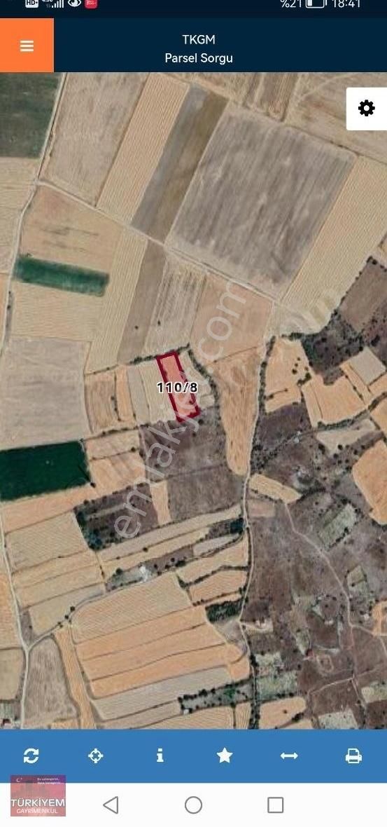 Gesi Büyük Bürüngüzde 3620m2 Tek Tapu Bağımız Satlıktır.