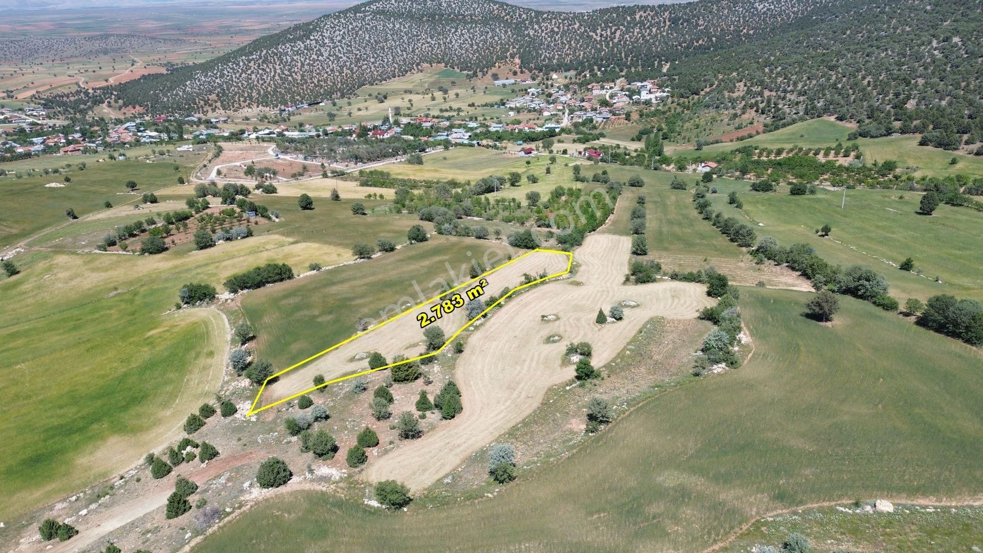 Konya Akören Alan Mahallesinde 2.783 M² Müstakil Tapulu Tarla