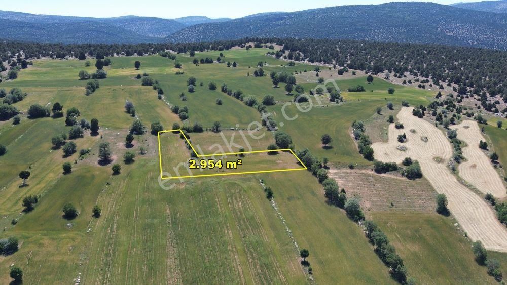 Konya / Akören / Alan Mahallesinde 2.954 M² Müstakil Tapulu Tarla