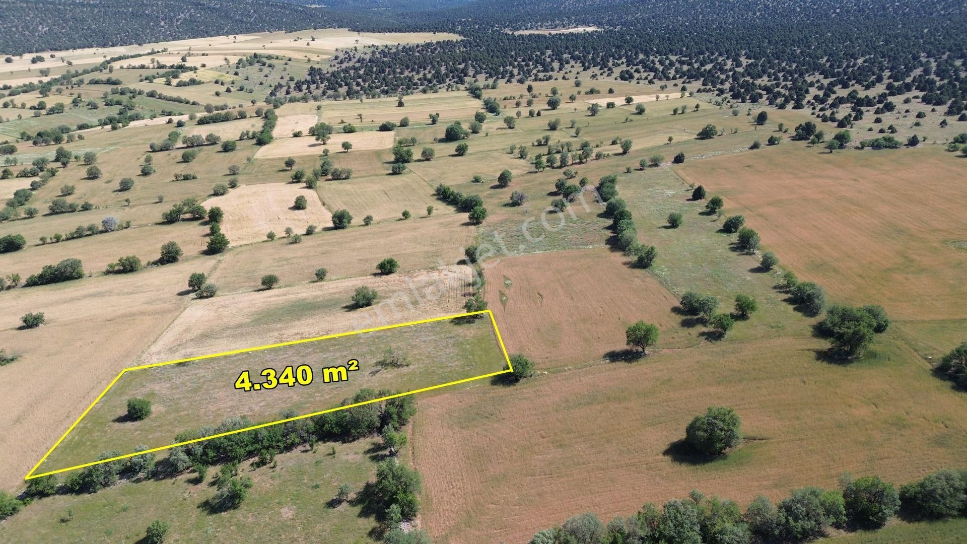 Akören Karahüyük De 4.340 M2 Müstakil Tapulu Tarla