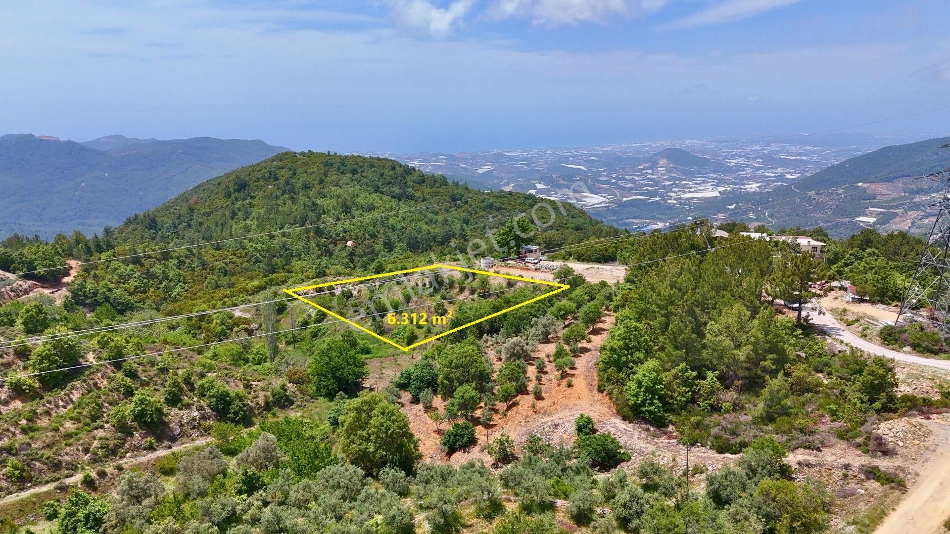 Satılık 6.312 M² Tarla, Alanya-mahmutseydi - Görsel 4