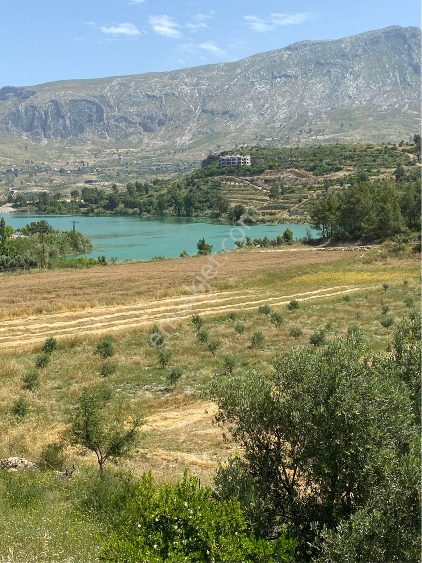 Oyma Pınarı Mahallesi’nde 1650 Metrekareyi Tarla Satılıktır
