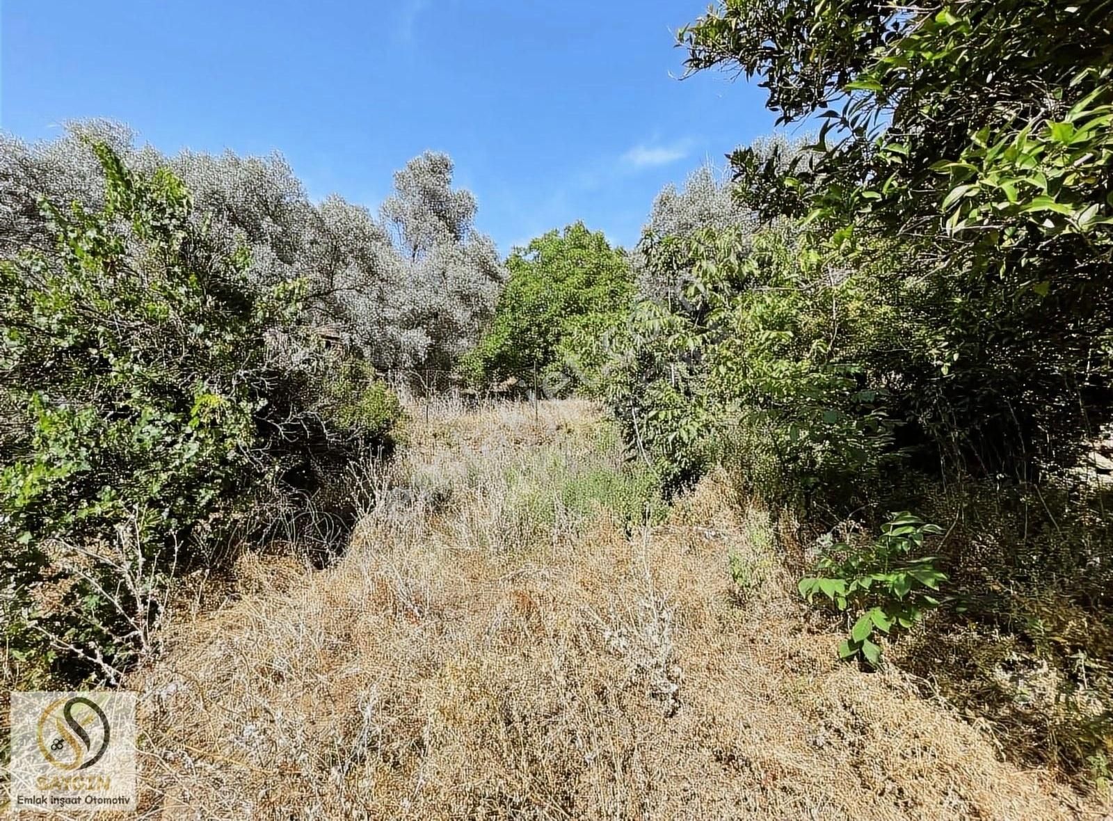 Milas'ta 1 Dönüm 130m2 Konut İmarlı, Kadastral Yolu Açık Arsa - Görsel 16