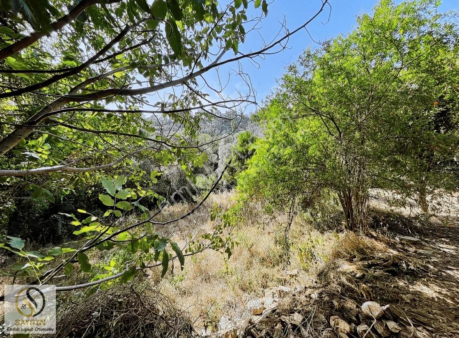 Milas'ta 1 Dönüm 130m2 Konut İmarlı, Kadastral Yolu Açık Arsa - Görsel 10