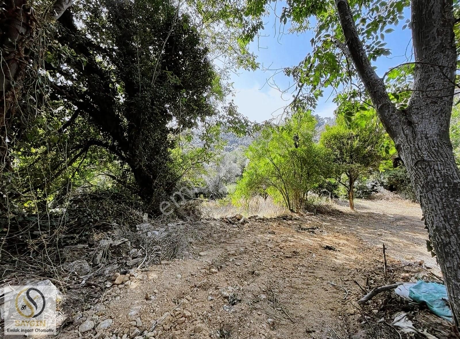 Milas'ta 1 Dönüm 130m2 Konut İmarlı, Kadastral Yolu Açık Arsa - Görsel 7