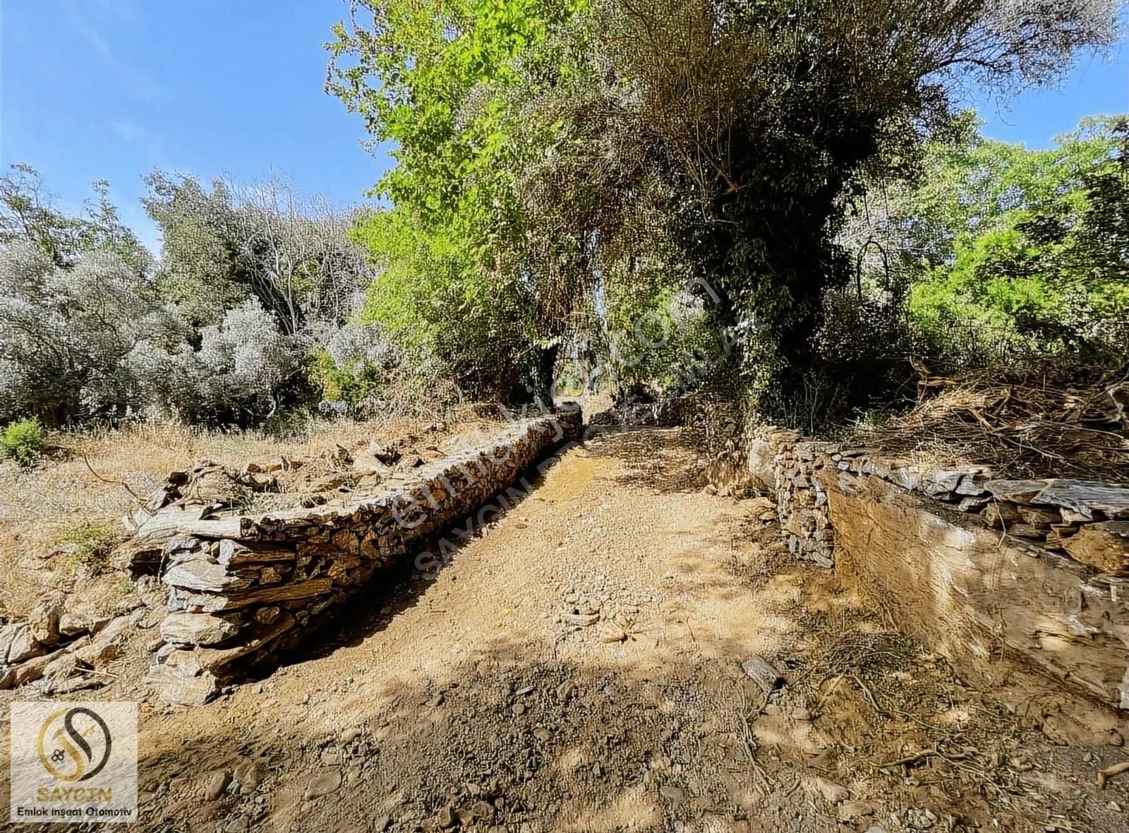 Milas'ta 1 Dönüm 130m2 Konut İmarlı, Kadastral Yolu Açık Arsa - Görsel 15