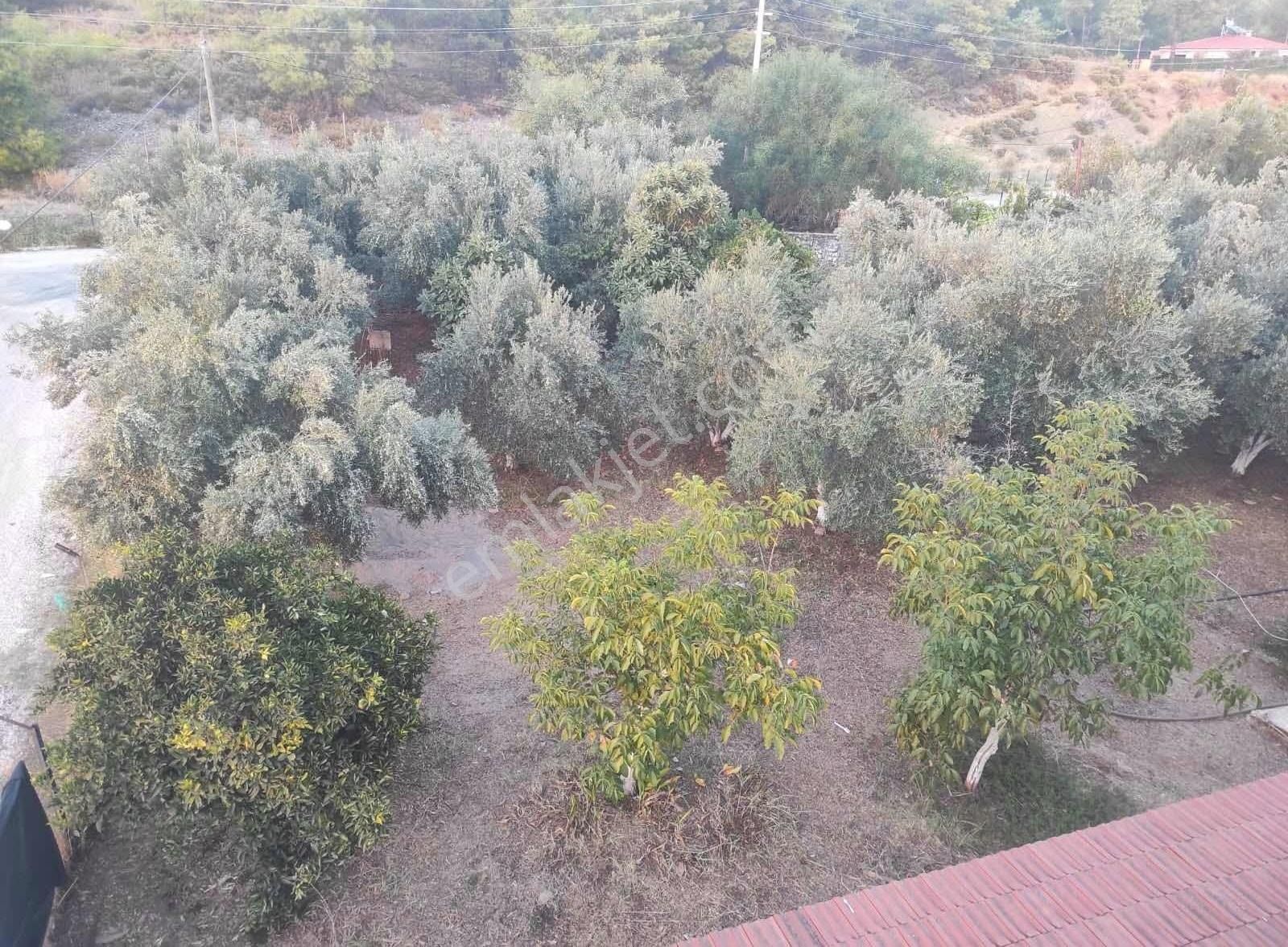 Fethiye Kargı'da Müstakil Dubleks - Görsel 18