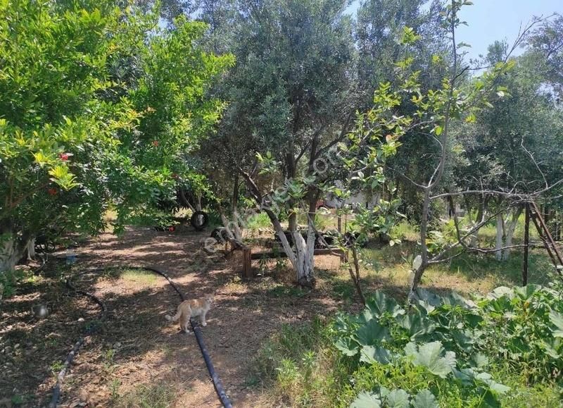 Fethiye Kargı'da Müstakil Dubleks - Görsel 6