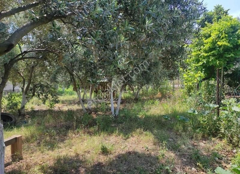 Fethiye Kargı'da Müstakil Dubleks - Görsel 15