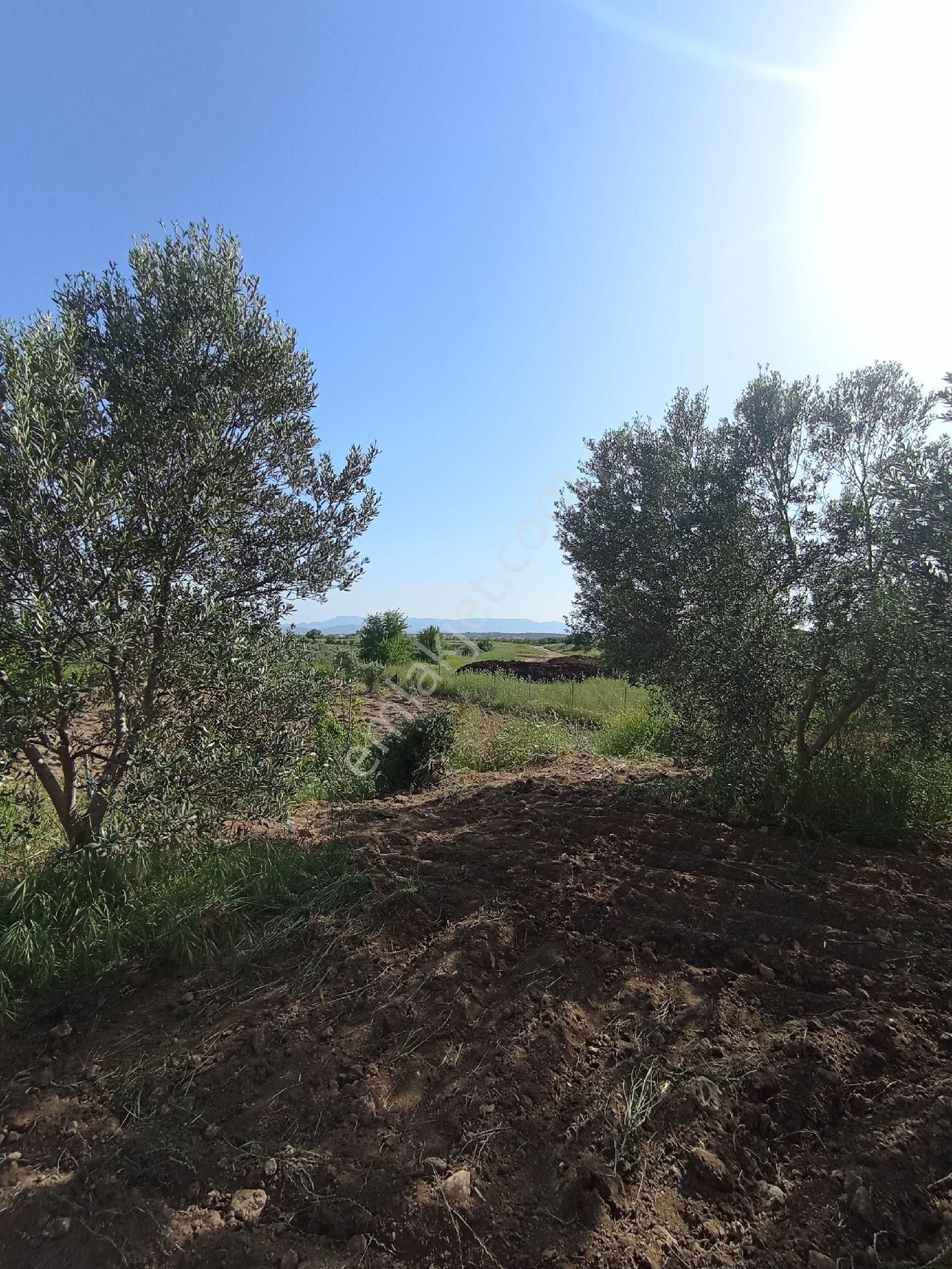 Alyans Emlak'tan Satılık Arsa - Görsel 6