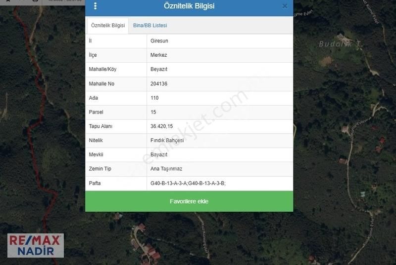 Remax Nadir Bayazıt Köyünde 28.800 Dönüm Satılık Fındık Bahçesi