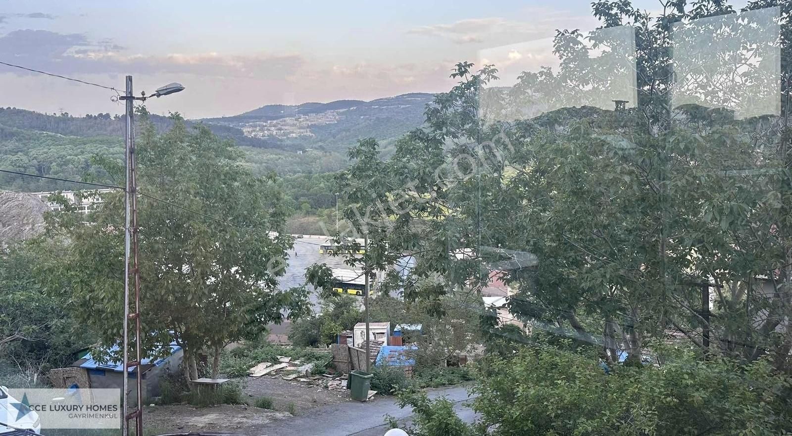 Beykoz Türk Alman Ünıversıtesı Cok Yakın Orman Manzaralı