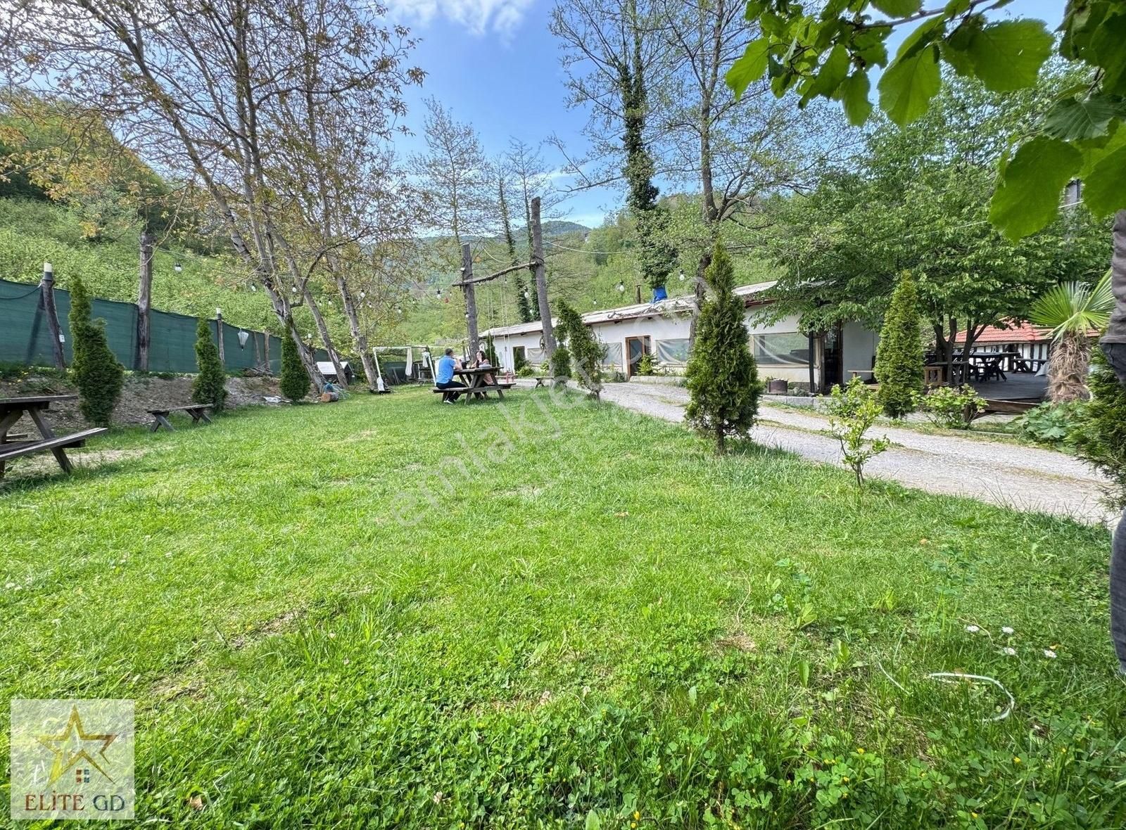 Elite Gd & Düzce Merkez Boğaziçinde Devren Restaurant Kır Bahçe.