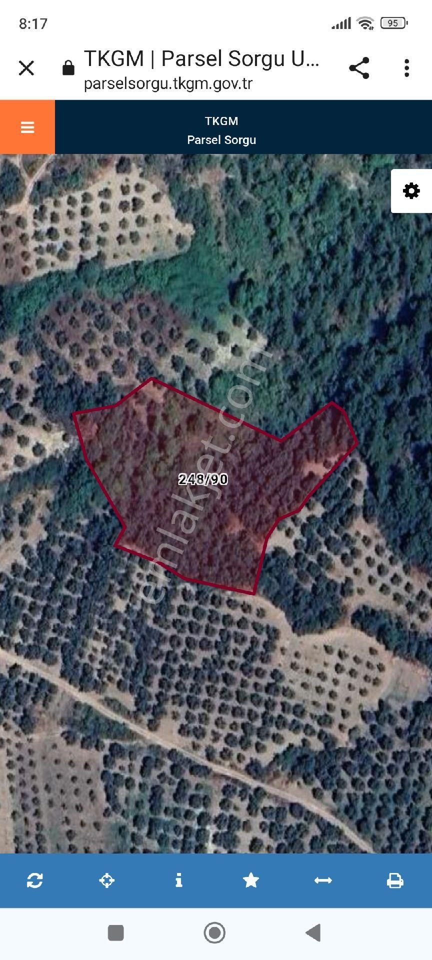 Satılık Zeytinlik