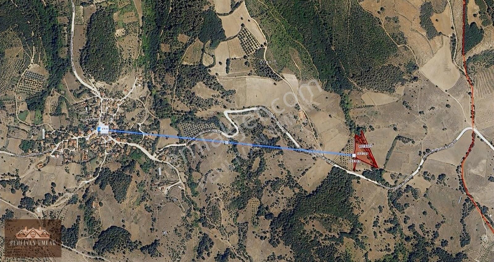 Yola Cepheli Manzaralı 4870 M2 Tarla