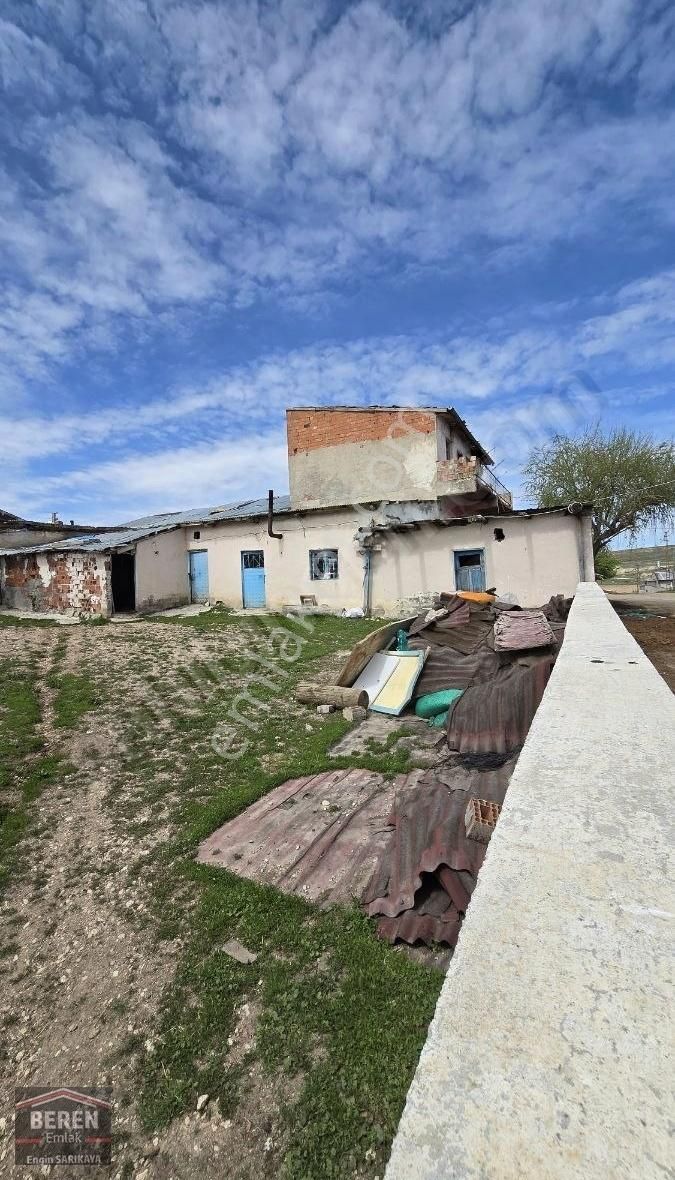 Ahırlar Bölgesinde Kullanıma Hazır Ahır Ve Çoban Evi