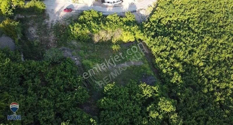 Serdivan Kemalpaşa Remax Ümit Doğan Dan Satılık Arsa
