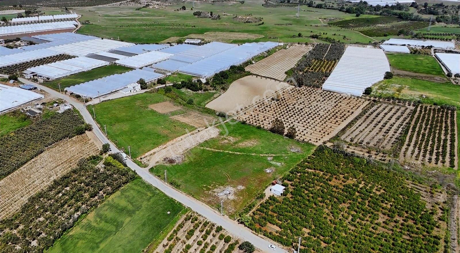 Serik Üründü Mahallesi'nde İmarlı, Ruhsatlı, Yola Cepheli 6548 M