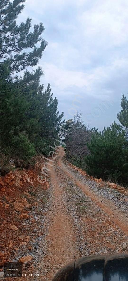 İznik Yenişerefiye Köyünde Satılık 21.800 M2 Tarla. - Görsel 7