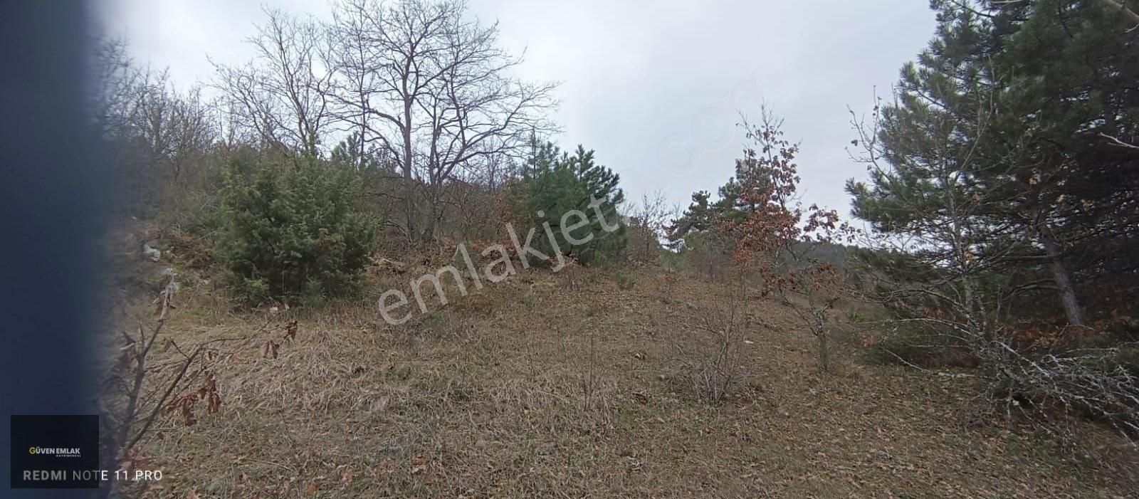 İznik Yenişerefiye Köyünde Satılık 21.800 M2 Tarla. - Görsel 3