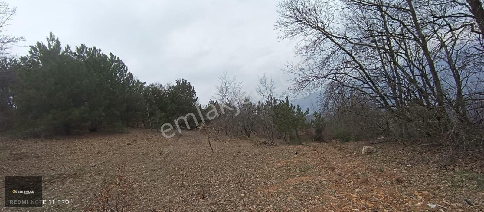 İznik Yenişerefiye Köyünde Satılık 21.800 M2 Tarla. - Görsel 4