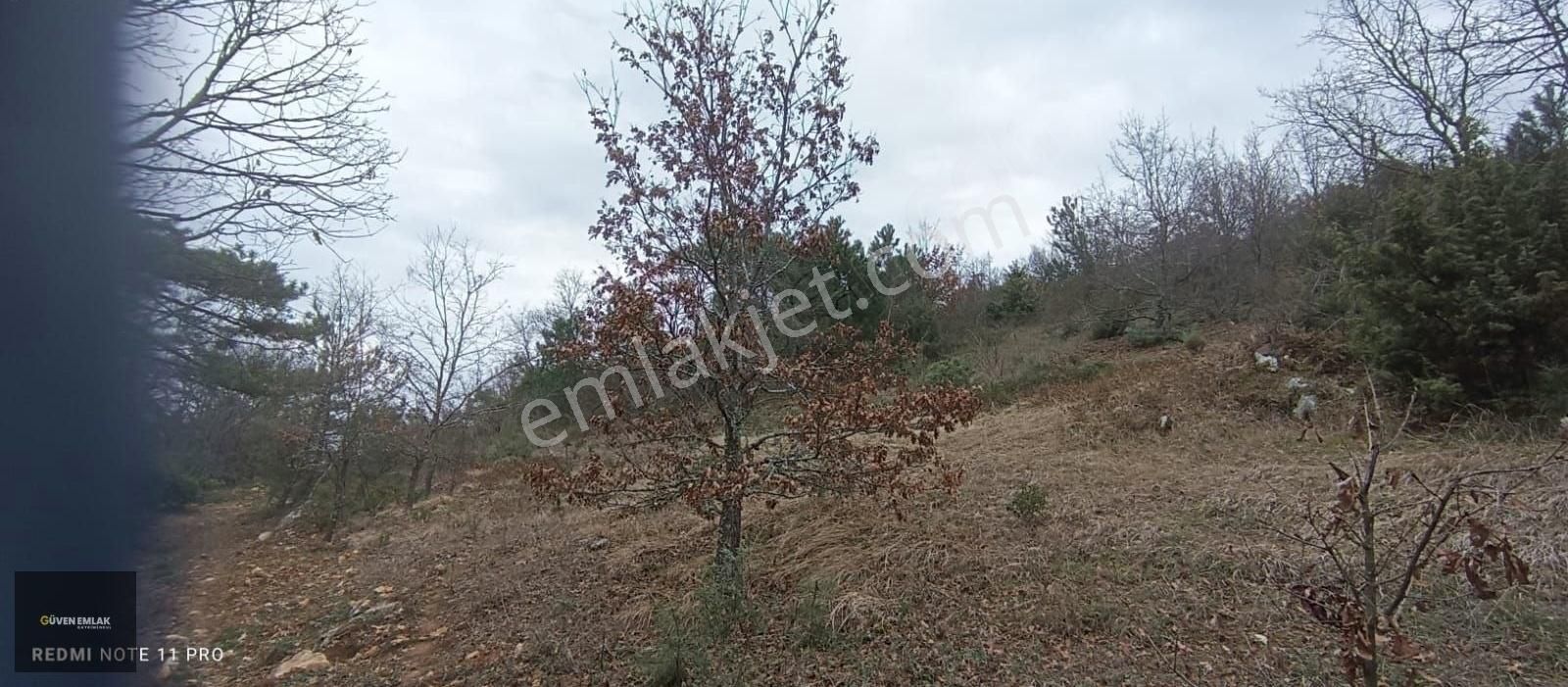 İznik Yenişerefiye Köyünde Satılık 21.800 M2 Tarla. - Görsel 16