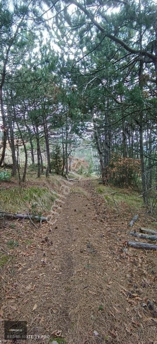 İznik Yenişerefiye Köyünde Satılık 21.800 M2 Tarla. - Görsel 6