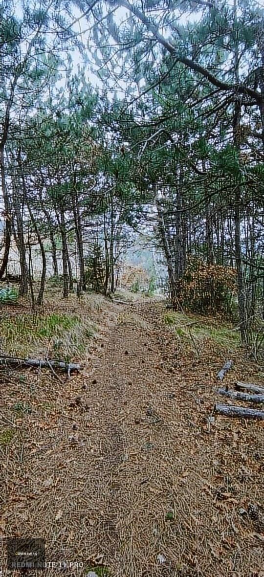 İznik Yenişerefiye Köyünde Satılık 21.800 M2 Tarla. - Görsel 17