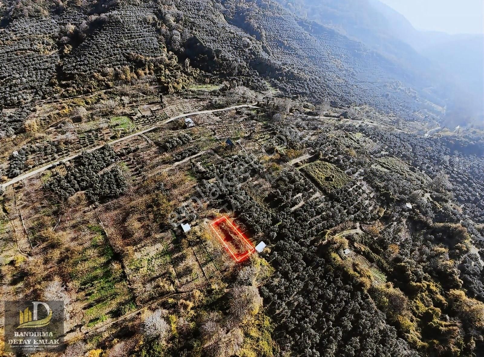 Detay Emlaktan Ballıpınar Mahallesinde Satılık 256m2 Bahçe ! - Görsel 9