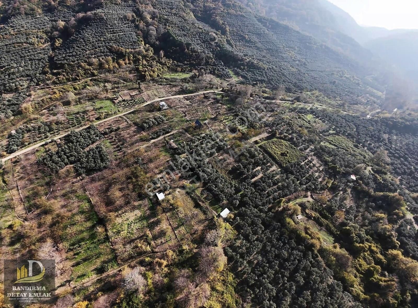 Detay Emlaktan Ballıpınar Mahallesinde Satılık 256m2 Bahçe ! - Görsel 2