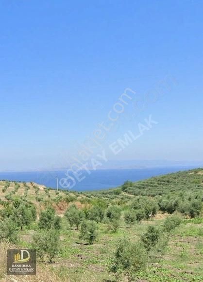 Detay Emlaktan Şirin Çavuş Mahallesinde Satılık 4501m2 Tarla !