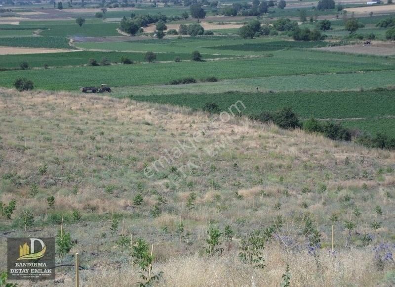 Detay Emlaktan Yeni Yenice Mahallesinde Satılık 950m2 Bağ ! - Görsel 3