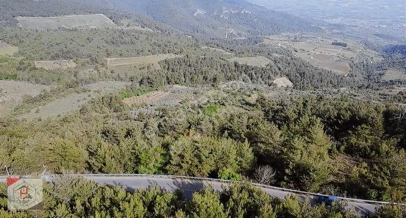 Sakarya Pamukova Çilekli Ana Yol Kenarı 1,100 M2 Full Manzaralı