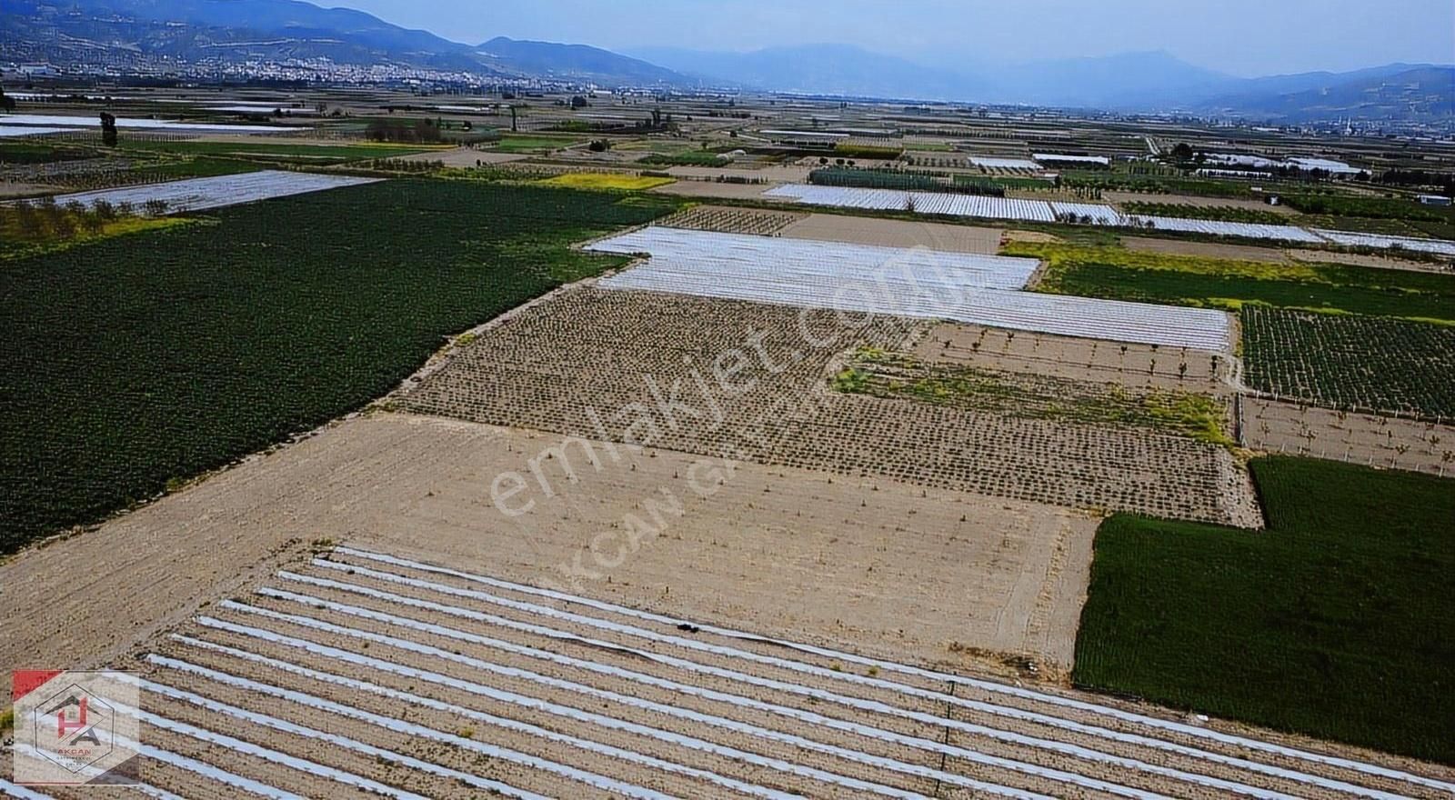 Sakarya Pamukova Fevziye Mahallesi 2,400 M2 Elektrik Su Dibinde