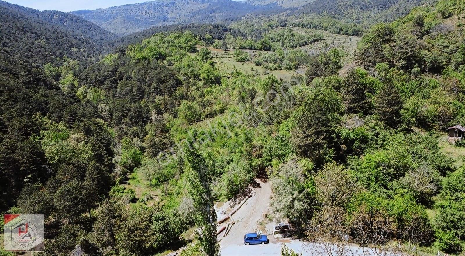 Sakarya Pamukova Kazımiye Mahallesi 1,910m2 Yol Kenarı Fındıklık