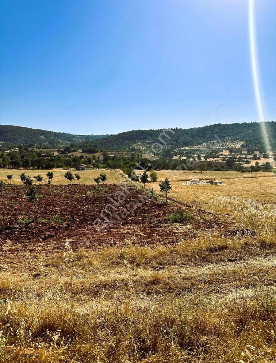 Yenibağyaka Mahallesinde Yatırıma Uygun Tarla
