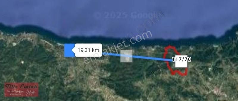 Kandıra Bollu Köyünde Şekli Güzel Turizm Bölgesinde - Görsel 3