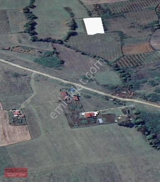 Kandıra Bollu Köyünde Şekli Güzel Turizm Bölgesinde - Görsel 9