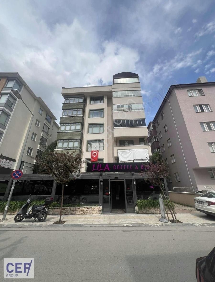 Lila Kafe Üzeri Özel Tasarım Daire