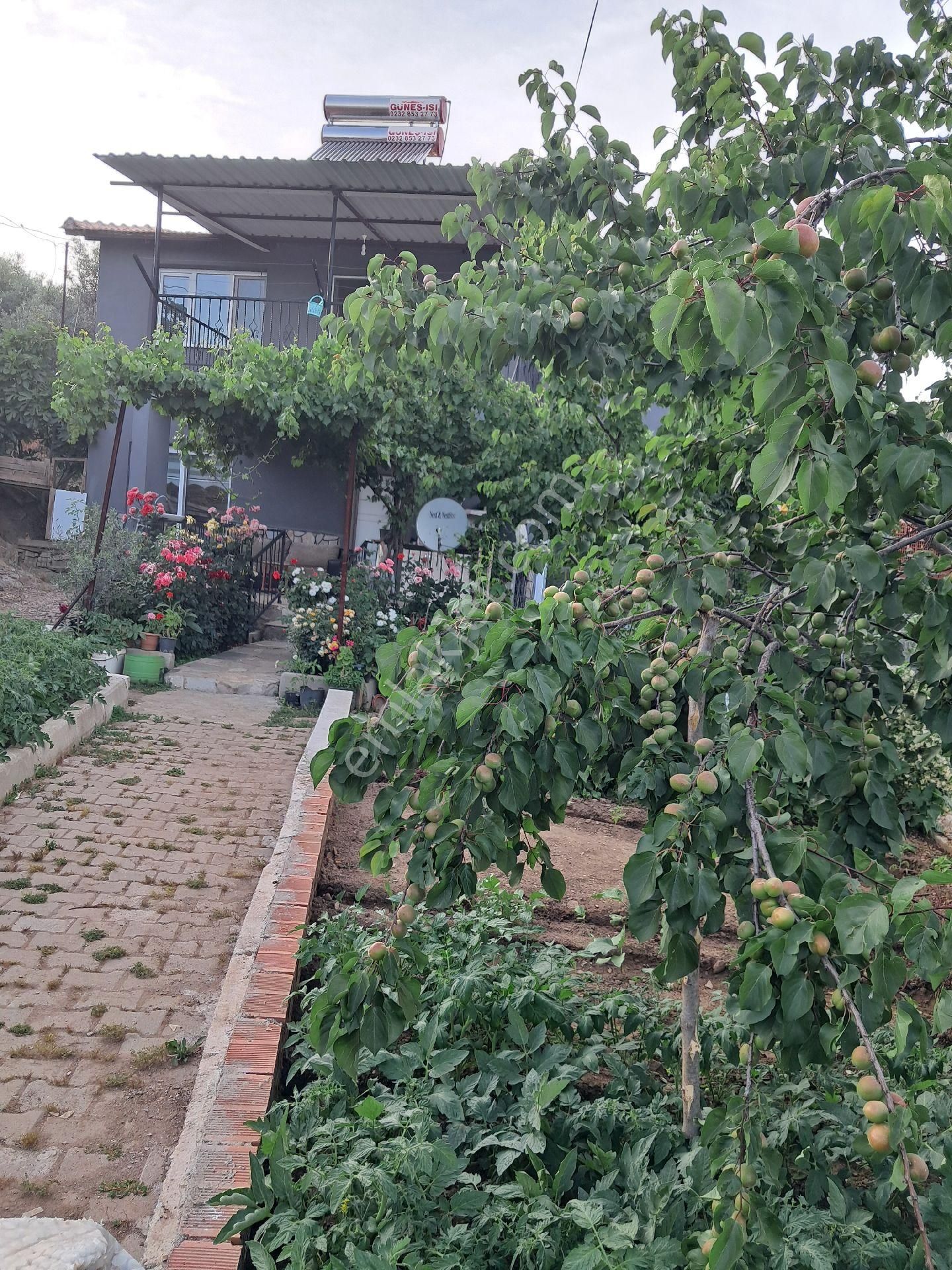 Bayındır Çiftçigediği'nde 298 M2 Köyevi Satılıktır