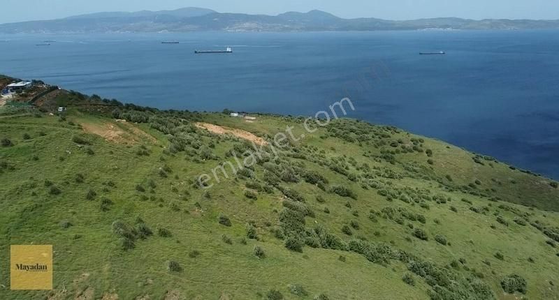 Mayadan Gyodan Dutlimanda 4600m2 Satılık Arsa