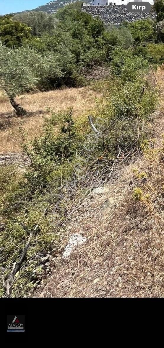 Marmaris Villalar Bölgesinde Satılık %15 -30 İmarlı 400 M2 Arsa