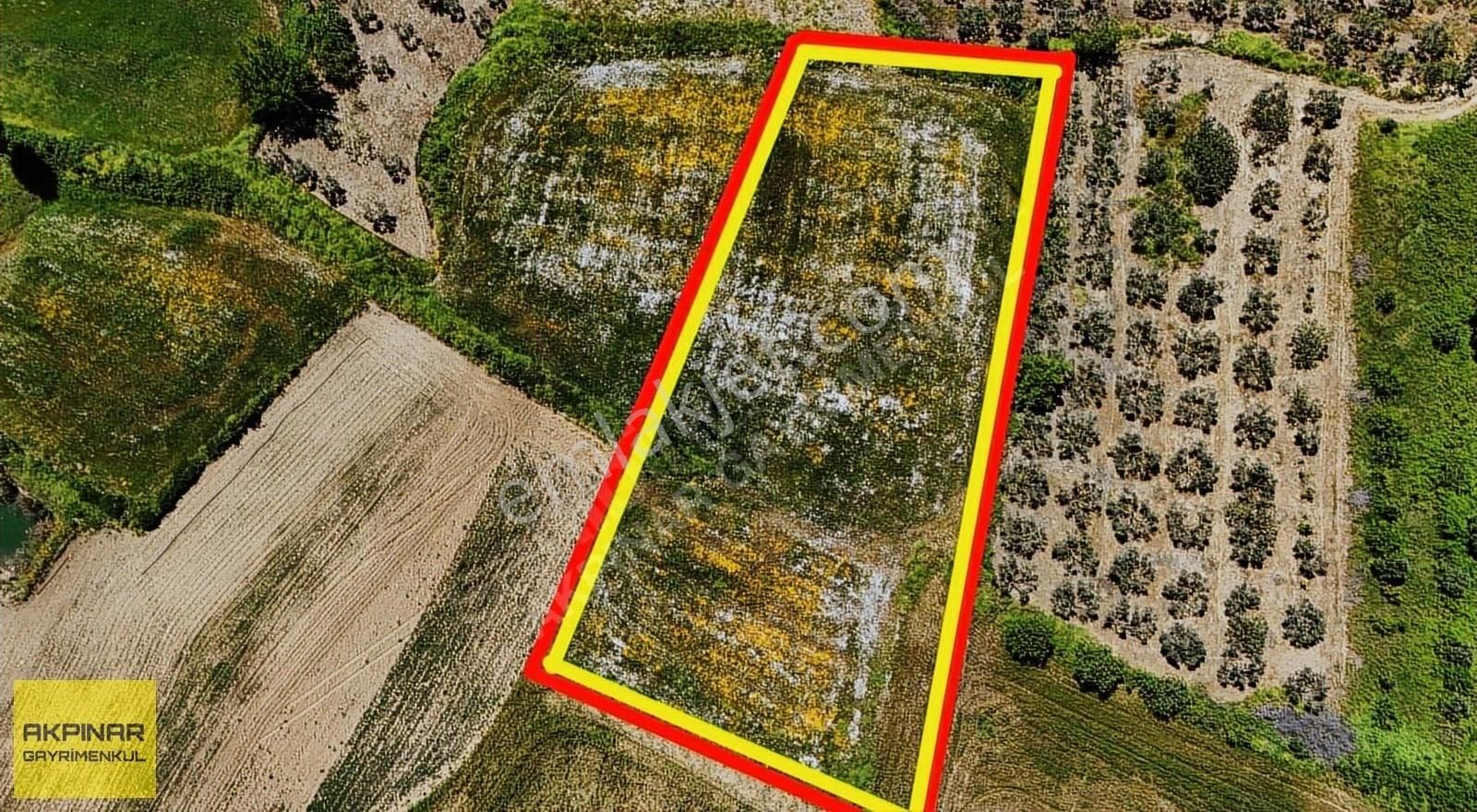 Akpınar Gayrimenkul'den Köy İçi 2,500 M2 Satılık Tarla