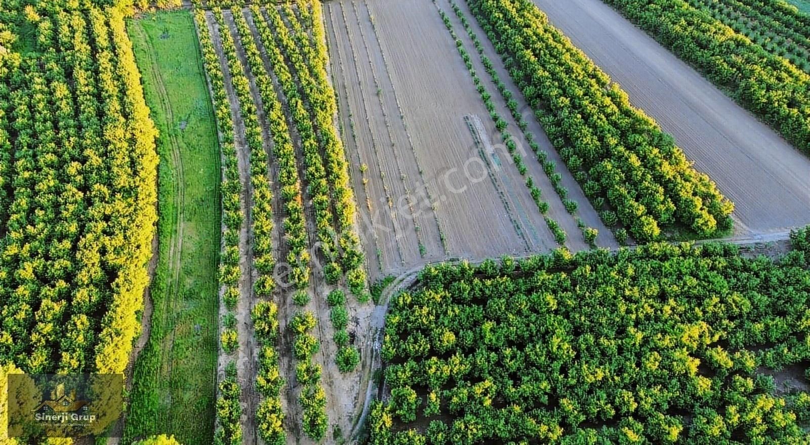 Sinerji Gruptan Çayırbaşı Köyünden 2.582 M2 Satılık Tarla