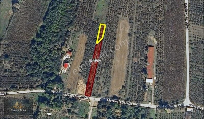 Sinerji Gruptan Kargalıyeni Köyde 1.200 M2 Satılık Arsa