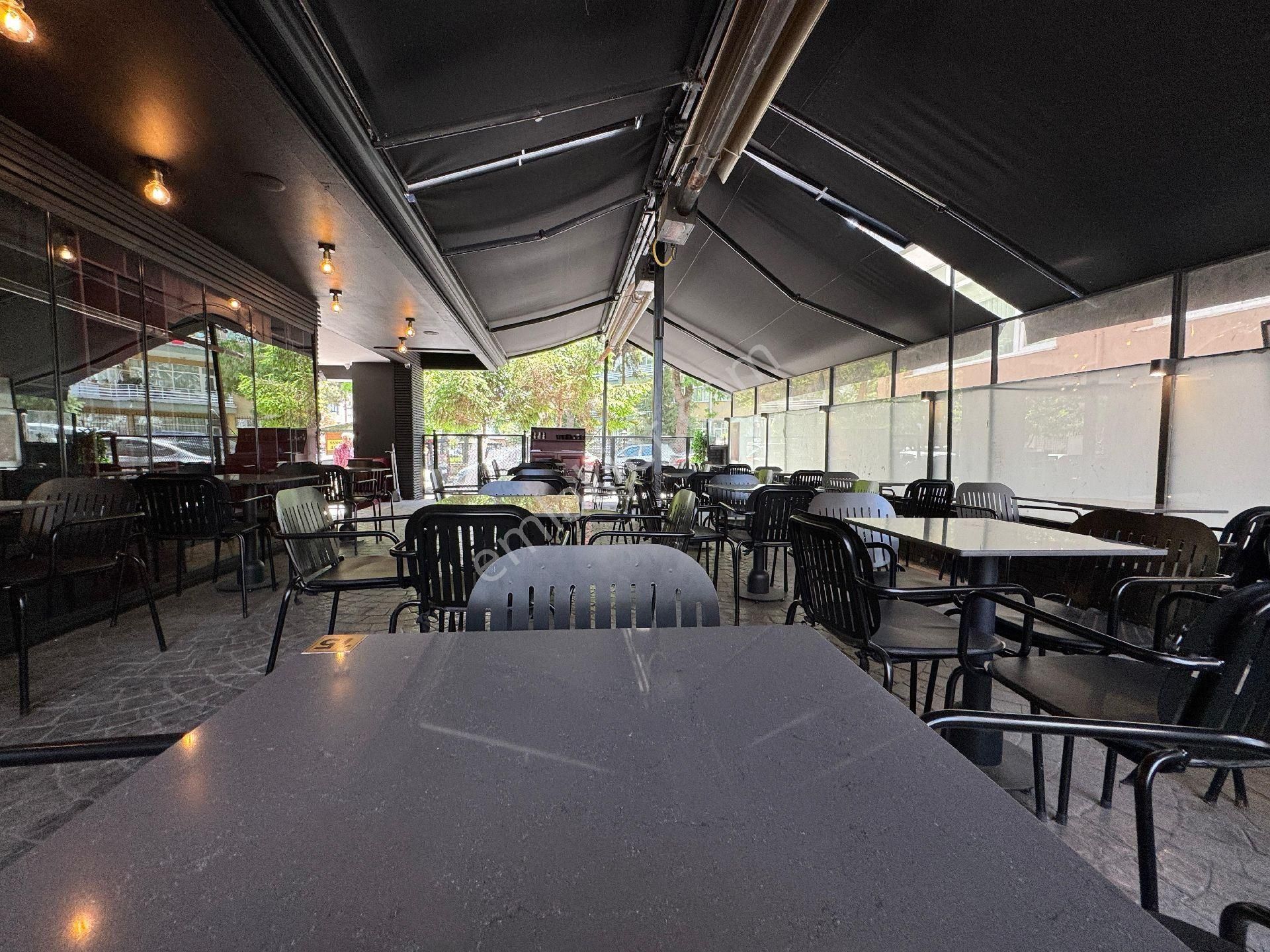 Samsun 56 Larda Satılık Cafe