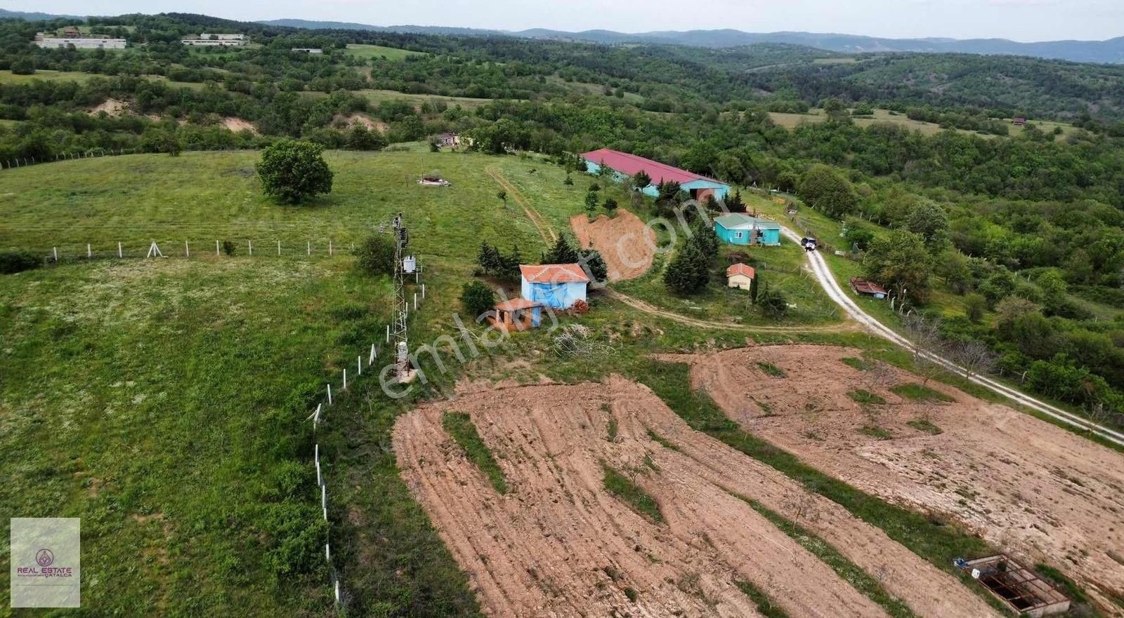 Real Estate Çatalca Dan Satılık Kurulu Çiftlik