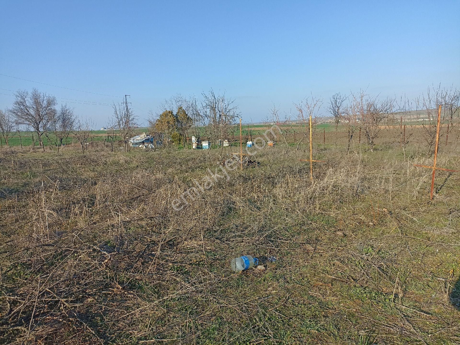 Edirne Merkez Tayakadın Köyünde